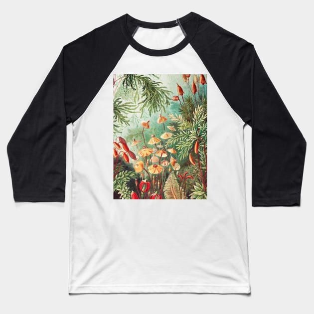 Fern -  Ernst Haeckel. Baseball T-Shirt by CozyCanvas